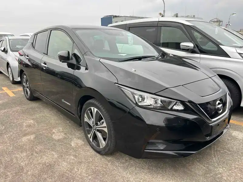 2020 Nissan Leaf Electric
