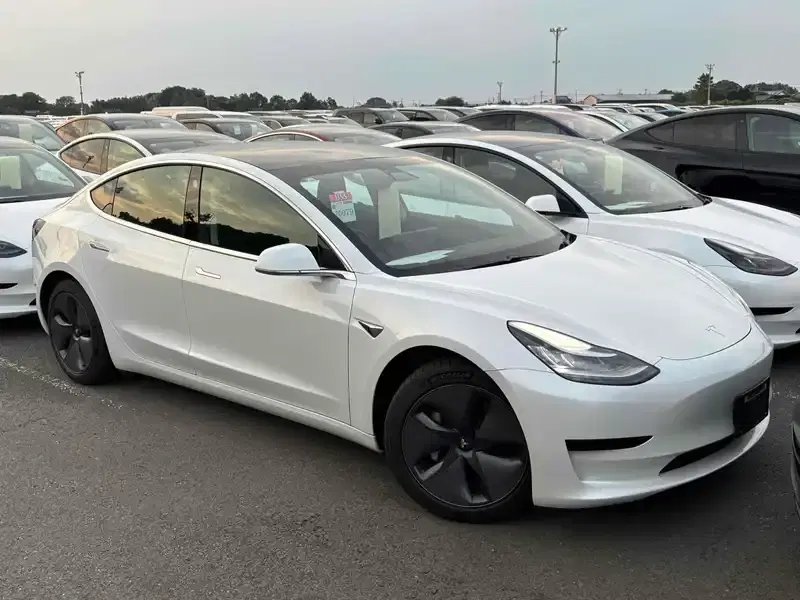 2020 Tesla MODEL 3 66,000 km