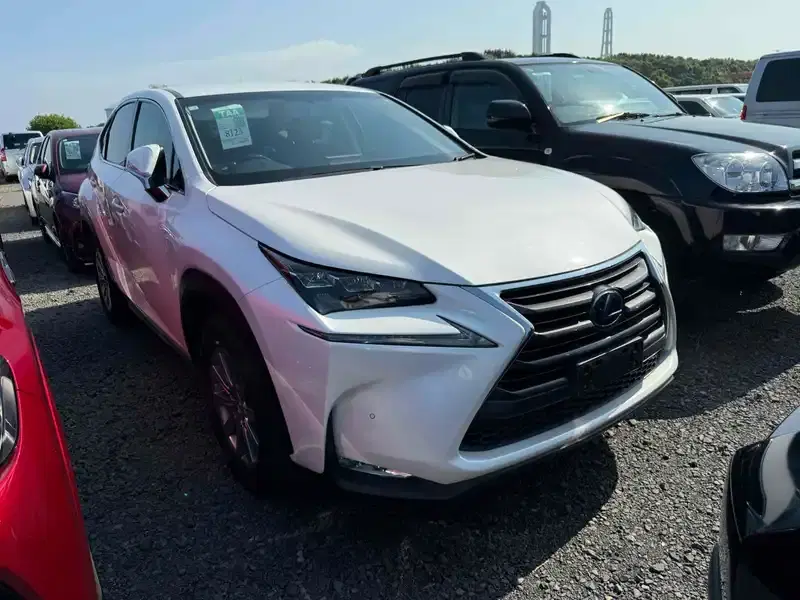 2016 Lexus NX 96,000 km