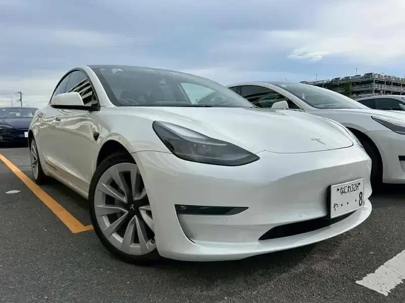 2021 Tesla MODEL 3 4WD 53,000 km